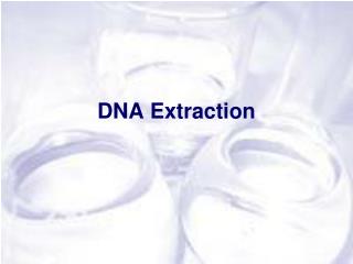 DNA Extraction