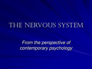 The nervous system