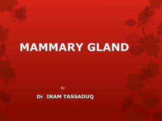 MAMMARY GLAND