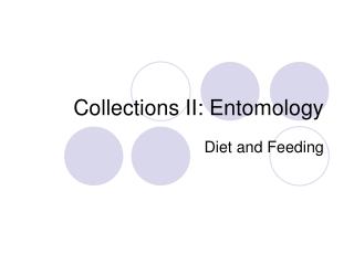 Collections II: Entomology