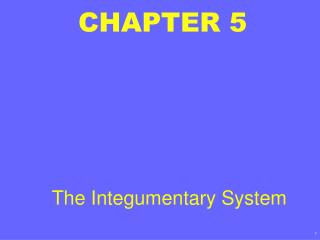 CHAPTER 5