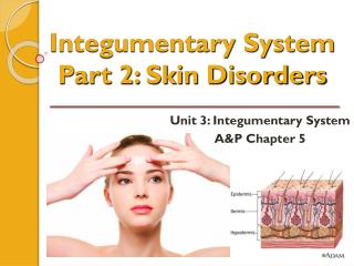 Integumentary System Part 2: Skin Disorders