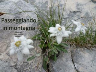 Passeggiando in montagna Val di Fassa Lago di Garda e dintorni…