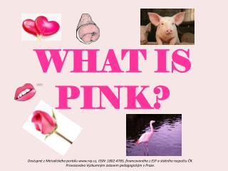 WHAT IS PINK?