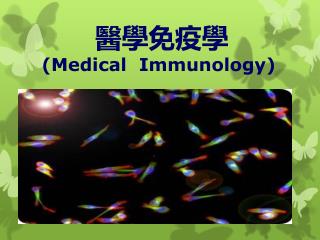 醫學免疫學 (Medical Immunology)