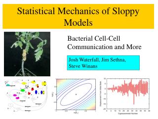 Statistical Mechanics of Sloppy Models