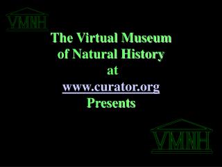 The Virtual Museum of Natural History at curator Presents