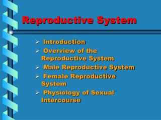 Reproductive System