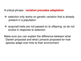A critical phrase: variation precedes adaptation