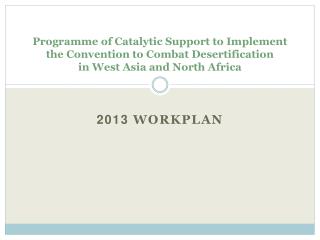 2013 Workplan