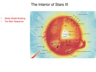 The Interior of Stars III