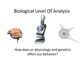 Biological Level Of Analysis