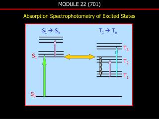 MODULE 22 (701)