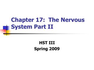 Chapter 17: The Nervous System Part II