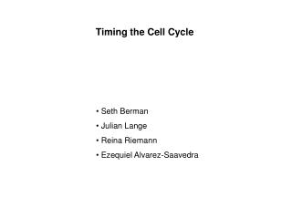 Timing the Cell Cycle
