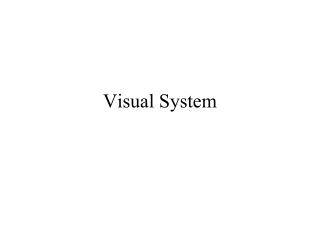 Visual System