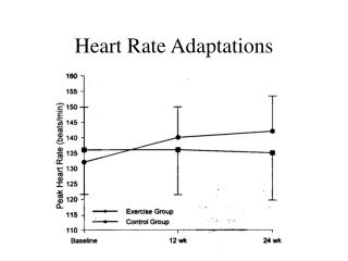 Heart Rate Adaptations