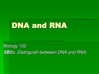 DNA and RNA