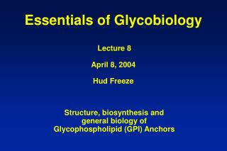 Essentials of Glycobiology Lecture 8 April 8, 2004 Hud Freeze