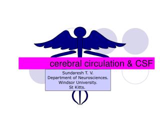 cerebral circulation &amp; CSF