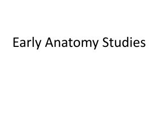 Early Anatomy Studies