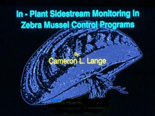 CLL Side Stream Monitoring