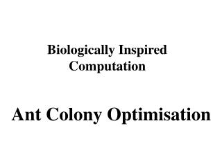 Biologically Inspired Computation