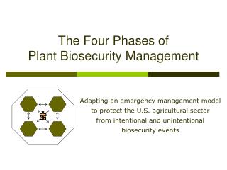 The Four Phases of Plant Biosecurity Management