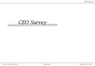 CEO Survey