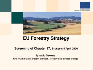 EU Forestry Strategy Screening of Chapter 27, Brussels 5 April 2006