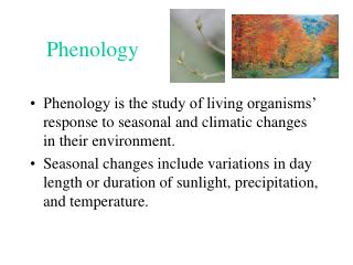 Phenology