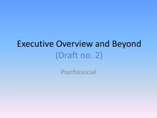 Executive Overview and Beyond (Draft no. 2)