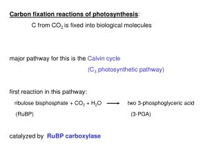 Carbon fixation reactions of photosynthesis : 	C from CO 2 is fixed into biological molecules