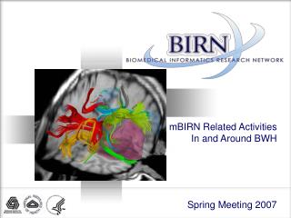 mBIRN Related Activities In and Around BWH