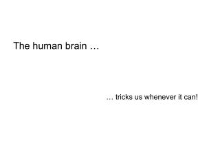 The human brain …