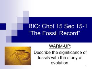BIO: Chpt 15 Sec 15-1 “The Fossil Record”