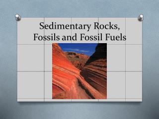 Sedimentary Rocks, Fossils and Fossil Fuels