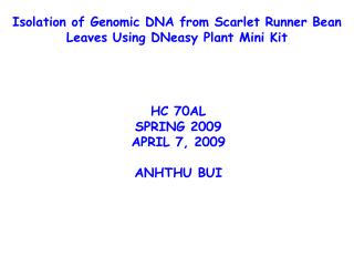 Isolation of Genomic DNA from Scarlet Runner Bean Leaves Using DNeasy Plant Mini Kit