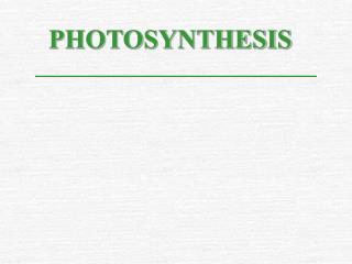 PHOTOSYNTHESIS