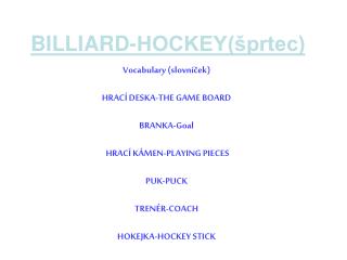 BILLIARD-HOCKEY(šprtec)