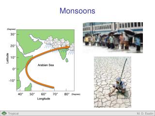 Monsoons