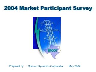 Prepared by Opinion Dynamics Corporation May 2004