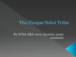 The Unique Y okut Tribe