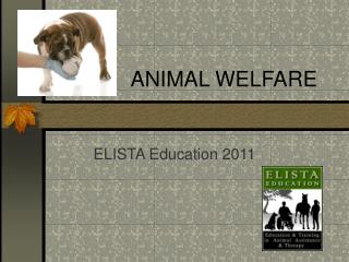 ANIMAL WELFARE