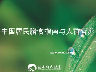 中国居民膳食指南与人群营养