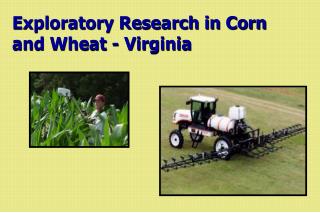 Exploratory Research in Corn and Wheat - Virginia