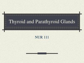 Thyroid and Parathyroid Glands