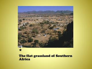The flat grassland of Southern Africa