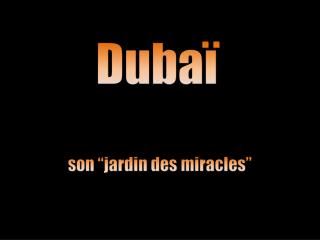 2139 JARDIN DE DUBAI