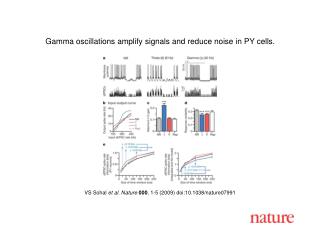 VS Sohal et al. Nature 000 , 1-5 (2009) doi:10.1038/nature07991